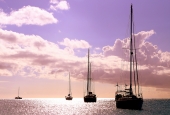 IIP Online Student Photography